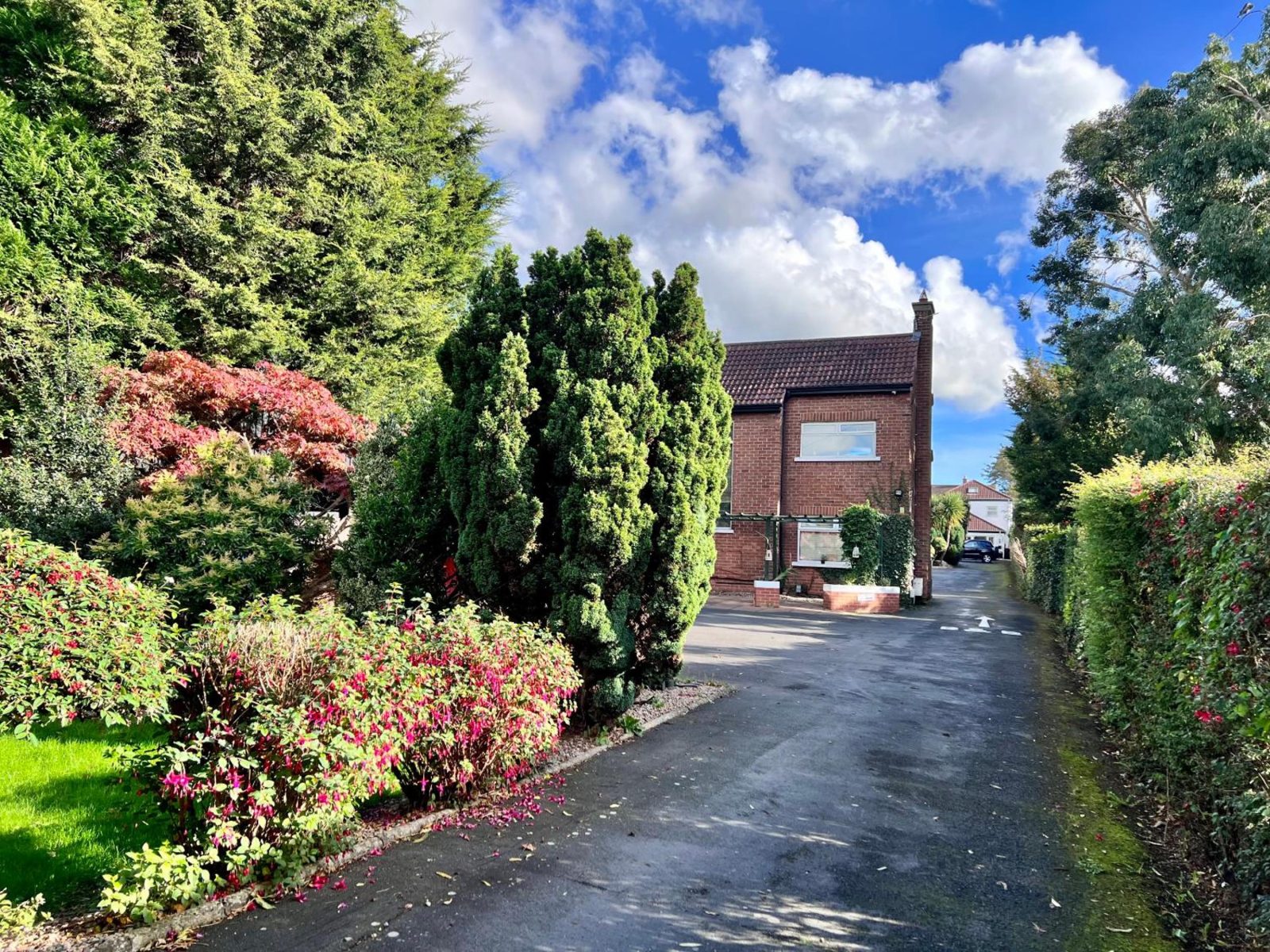 Ashfield Bed & Breakfast — photo 4